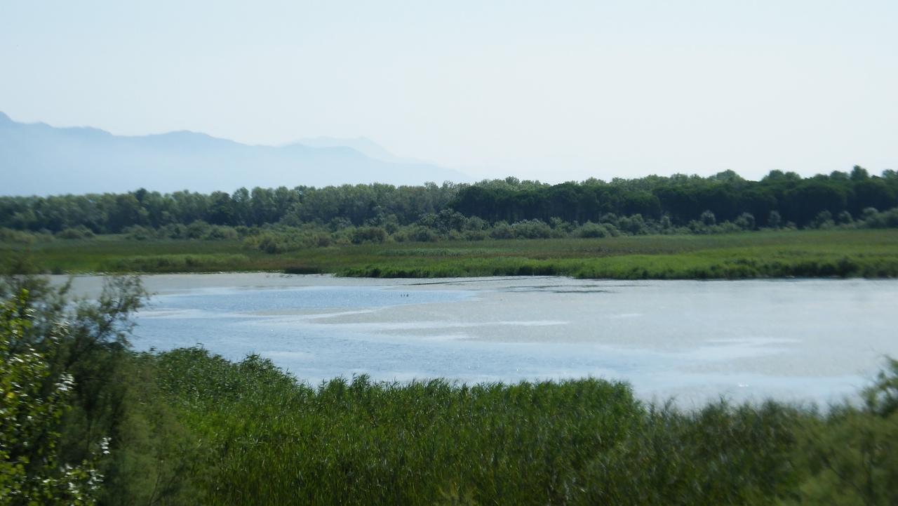 Hotel Aquarius Velipojë 外观 照片